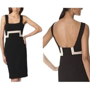 Diane Von Furstenberg Black and Tan dress